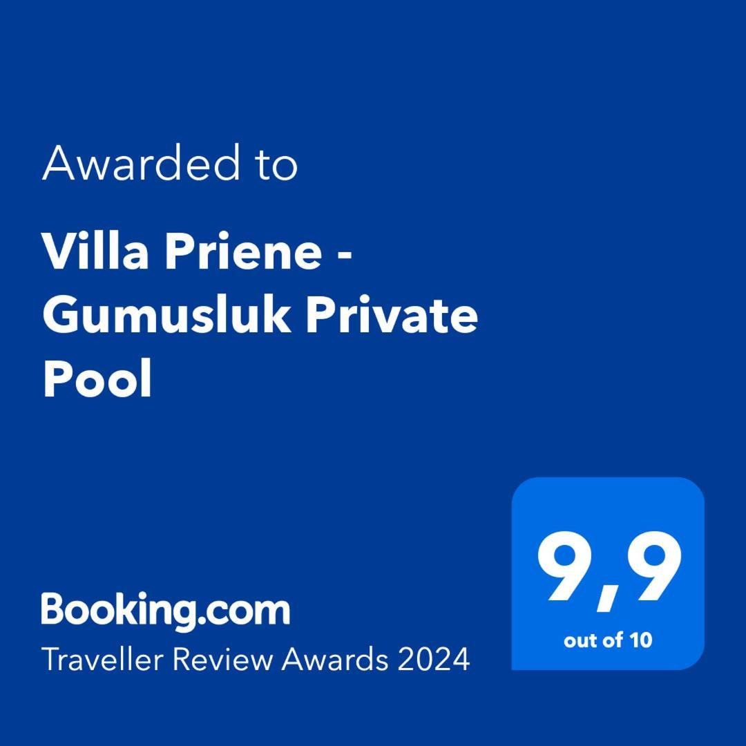 Villa Priene - Gumusluk Private Pool Buitenkant foto